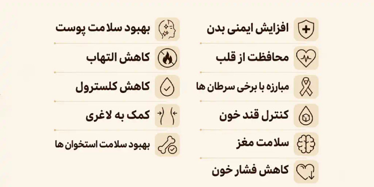 سیر سیاه ۲۰۰ گرمی OAB